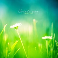 Grassy sound - Nostalgic