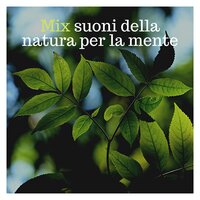 Consapevolezza interiore - Natura Viva