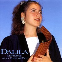 Vilcea - Dalila