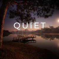 Quiet Vibes - The Healing Project & Schola Camerata