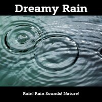 Tea Party on a Rainy Day - Nature! & Rain Sounds! & Rain!