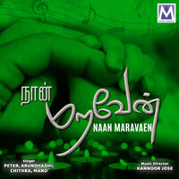 Neeyae Emadhu Vazhi - Chithra