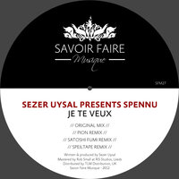 Je Te Veux - Sezer Uysal & Spennu