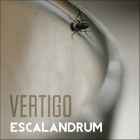 Ángulos - Escalandrum