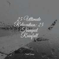 Gushing Winds - Meditation Awareness & Pro Sounds of Nature & Deep Sleep Systems