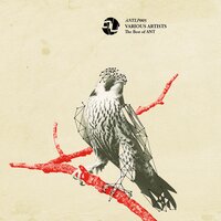 Musichemistry - Markantonio