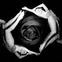 ... A Dance of Shadows - White Willow