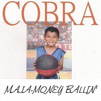 Got Em' Bittaish - Cobra