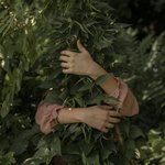 Когда соскучился