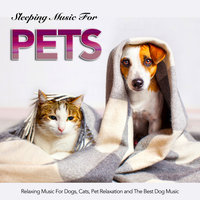 Calm Music For Pets While You're Away - Music For Pets