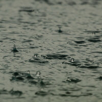 A Wide Open Storm in the Forest - Nature Sounds & Rain Sounds Sleep & Sleep Waves
