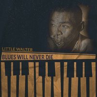Boom, Boom out Goes the Light - Little Walter