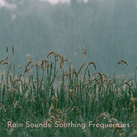 Rain Sounds for Relaxing - Massage Tribe & Nature Vibrations & Baby Lullaby Academy
