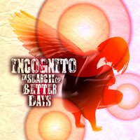 Bridges Of Fire - Incognito