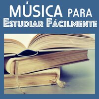 Nuestro Futuro - Musica para Estudiar Specialistas