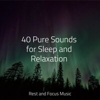 Relaxation Station - Native American Flute & Spa & Sleep Waves