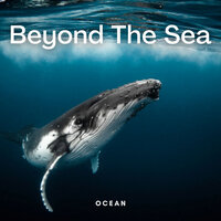 Mellow Life - Ocean Sounds Plus & Ocean Waves for Sleep & Sleeping Ocean