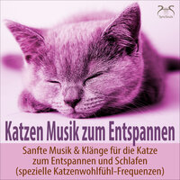 Katzen Musik zum Entspannen und Schlafen - Kadenz in A-Dur, spezielle Wohlfühl-Frequenzen - Musik für Katzen TA & Torsten Abrolat & Katzen Entspannungsmusik TA