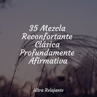 Trascender - Relajante Academia de Música Zen & Masaje Tantrico Musica Colección & Musica Relajante Specialistas
