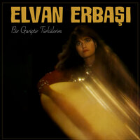 Damlarda Zılgıt Sesi - Elvan Erbaşı