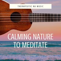 Spa Dreams - Therapeutic NA Music