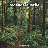 Regengeräusche, pt. 22 - Enna Maras & Rain Sounds & Nature Sounds