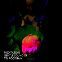 Rain Sound For Sleep - Asian Zen Spa Music Meditation & Easy Listening Background Music & deep sleep music collective