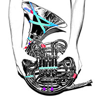 Won You Over - French Horn Rebellion
