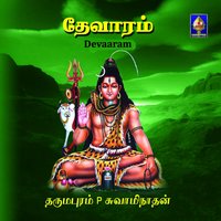 Chidambaram - Dharmapuram P Swaminathan & Dharmapuram P. Swaminathan