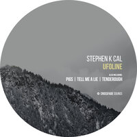 Tell Me a Lie - Stephen K Cal