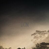 Follow The Sun - Lion