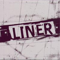 Mirror - Liner