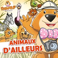 Les bosses du chameau - Patapouf