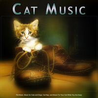 Music for Cats and Dogs - Music For Pets & Cat Music & Music For Cats