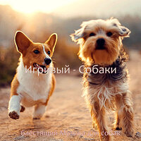 Мечты (Щенки) - блестящий Музыка для собак