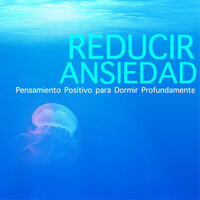 Nueva Era - Relajar Dormir Meditar