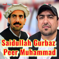 Nan Me Dedan Waka - Saidullah Gurbaz