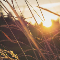 Raices - Ambient Relaxing Music