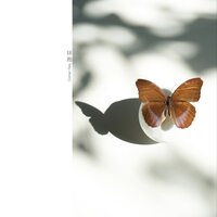二春 - Corner Rely