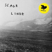 Voggesang - Slagr