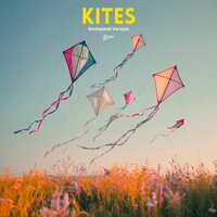Kites - Terrone