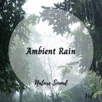 You Make The Rain Fall - Relaxing Classical Music & Baby Lullaby & Dog Music Dreams