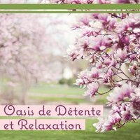 Aromathérapie - Naturel Relaxation Ambiance