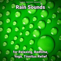 Rain Sounds for Relaxing and Tinnitus Relief Pt. 74 - Nature Sounds & Rain Sounds & Regengeräusche