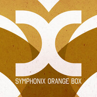 Journey Inside Yourself - Metronome & Symphonix