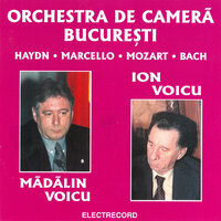 Divertisment pentru orchestră de coarde în Re major, K.136: Andante - Ion Voicu & Orchestra de cameră București & Mădălin Voicu & Вольфганг Амадей Моцарт