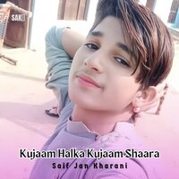 Kaptaga Dilber Tahi Methagai Shaara - Saif Jan Kharani