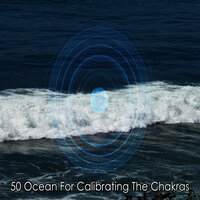 Waves Along The Shore - Winds and Oceans