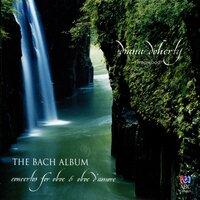 Oboe Sonata in G Minor, BWV 1030b: I. Andante - Diana Doherty & Johann Sebastian Bach