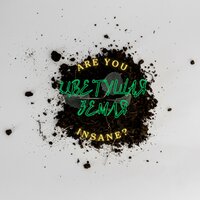 Шар света - Are You Insane? & Ян Выговский & Овчинникова Евгения
